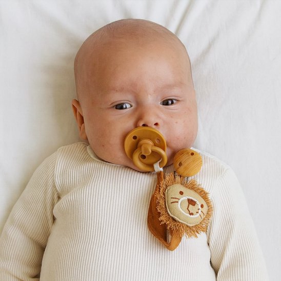 Attache tetine et bébé